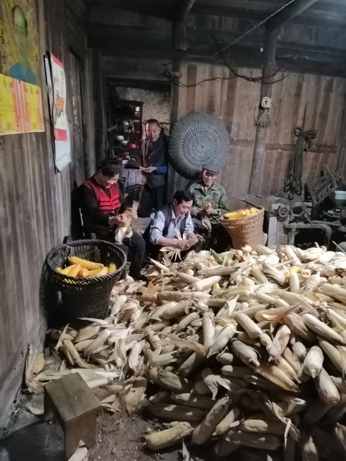 老驥伏櫪顯真情，戰疫扶貧一肩挑